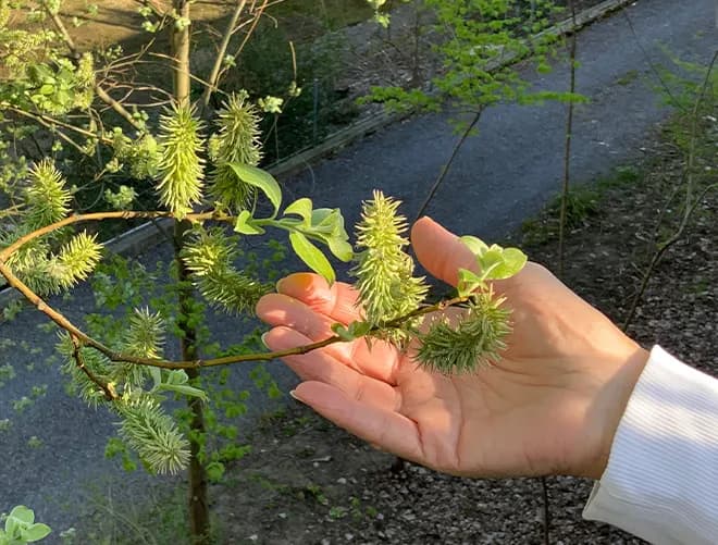 Enhancing Cannabis Cultivation with Air Quality Monitoring