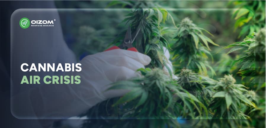 Why monitoring air quality in a Cannabis cultivation facility is needed