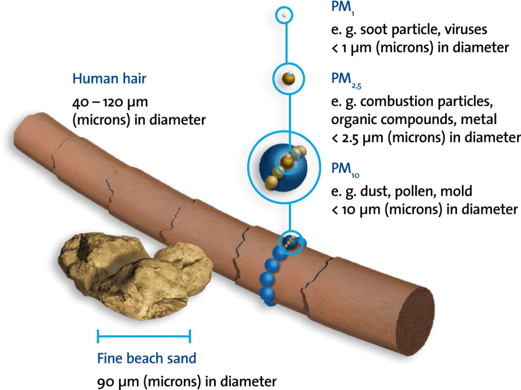 What Is Particulate Matter Examples