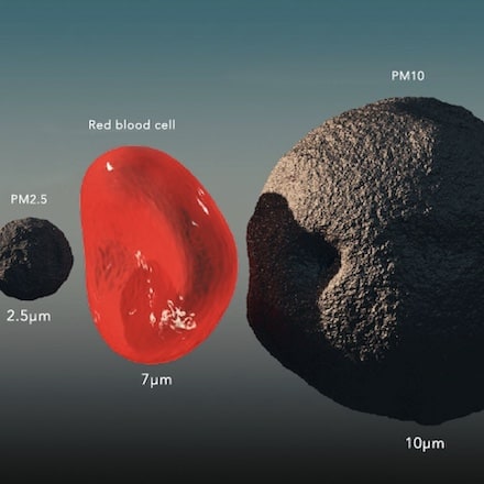 What is PM2.5 particulate matter?