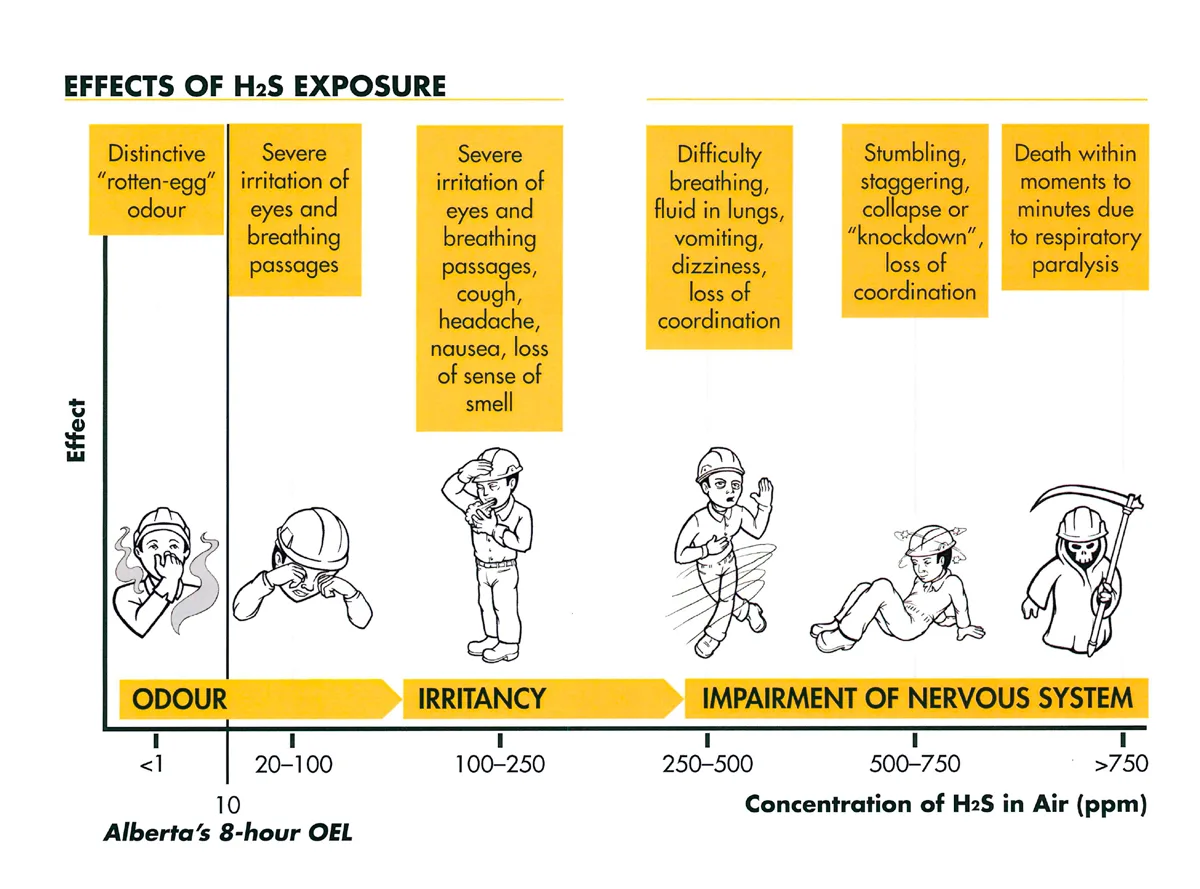 Effects of H2S exposure 