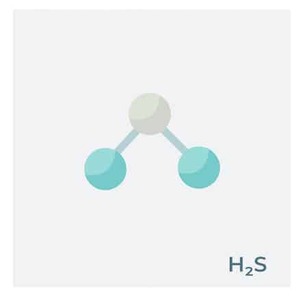 H2S is colorless, flammable, poisonous, and corrosive gas with one sulfur atom bonded to two hydrogen atoms.