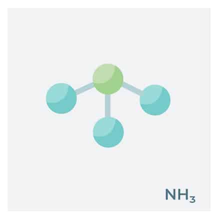 Ammonia is a colorless gas at room temperature with a very pungent smell consisting of one nitrogen atom bonded to three hydrogen atoms.