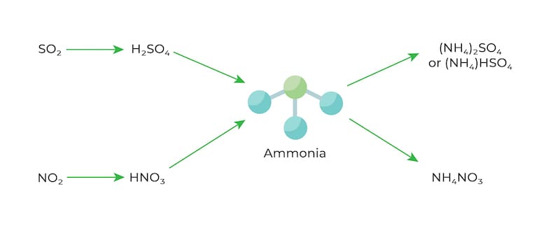 Ammonia reacts with H2SO4 and HNO3 present in the atmosphere to form ammonium salts