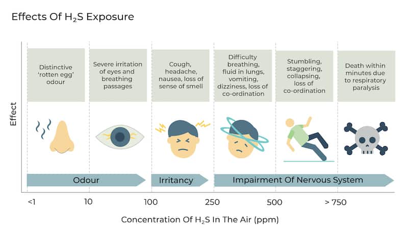 When inhaled, H2S affects oxygen utilization and the central nervous system of the body.