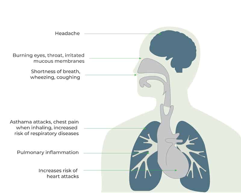 Even low concentrations of ozone in the air are very destructive to organic materials such as latex, plastics, and animal lung tissue.