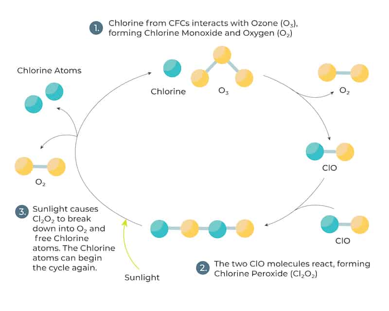Chlorine contributes to environmental problems such as ozone layer depletion, global warming, and acid rain.