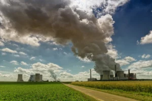 The Effects of air pollution on plants