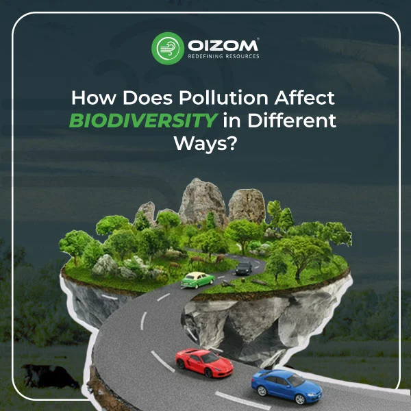 How Does Pollution Affect Biodiversity in Different Ways_