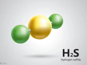 h2s a toxic gas