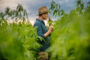 How To Choose the Right Odour Control System