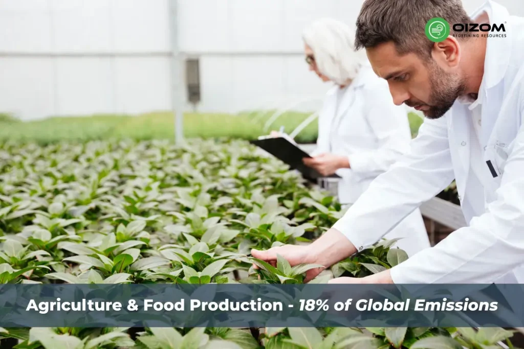 Agriculture-and-food-production