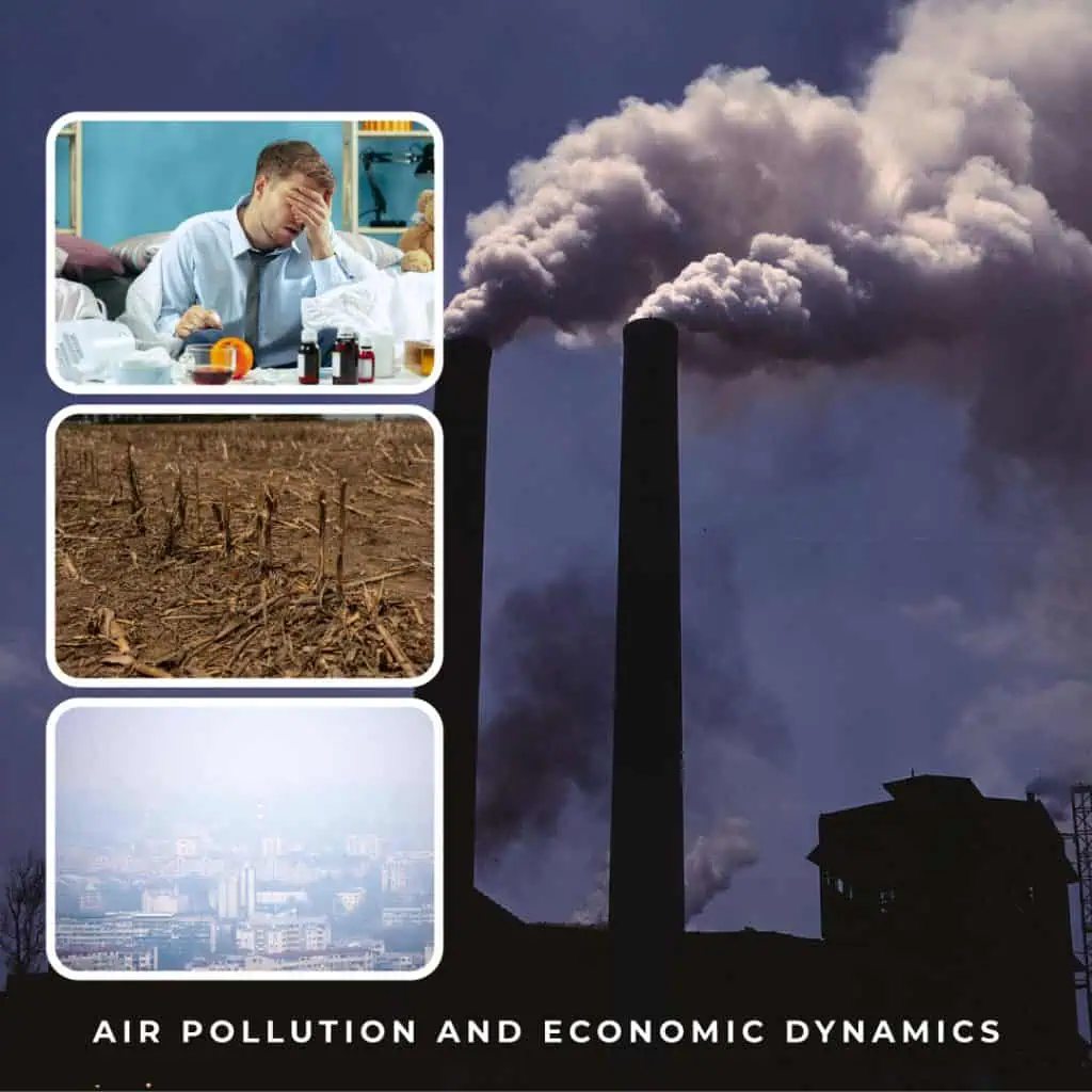 Air Pollution and Economic Dynamics