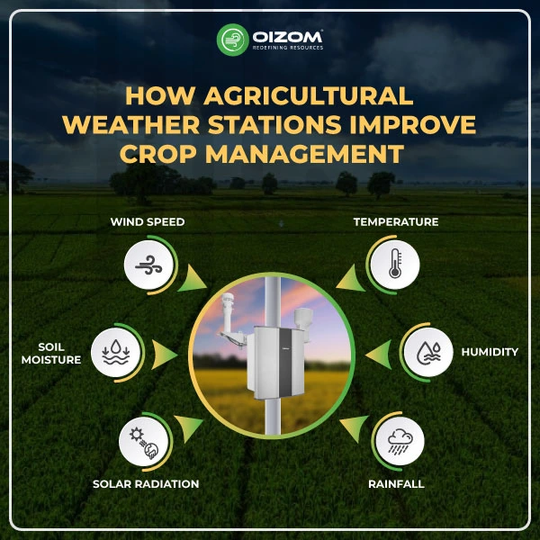 How-Agricultural-Weather-Stations-Improve-Crop-Management