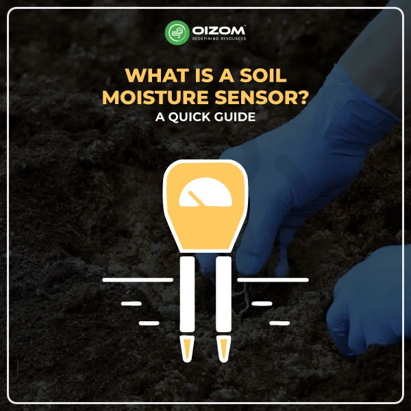 What is a Soil Moisture Sensor