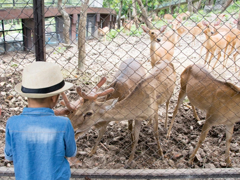 Pollution-Exposure-in-Zoos-&-Animal-Conservation-Centers