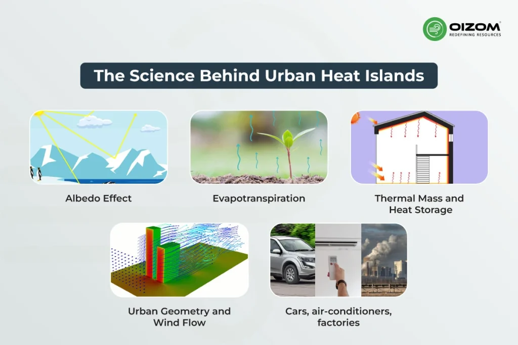 The Science Behind Urban Heat Islands