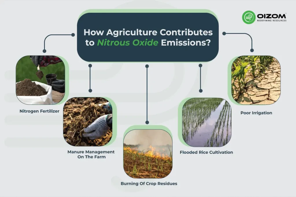How Agriculture Contributes to Nitrous Oxide Emissions