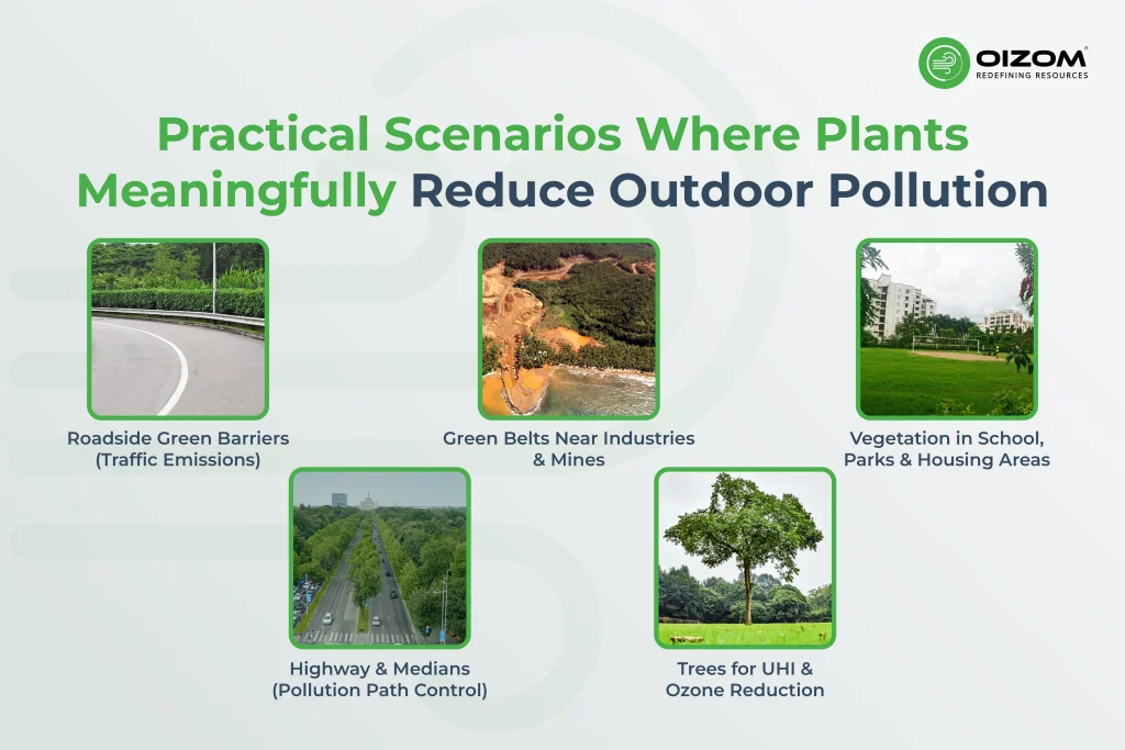 Practical Scenarios Where Plants Meaningfully Reduce Outdoor Pollution