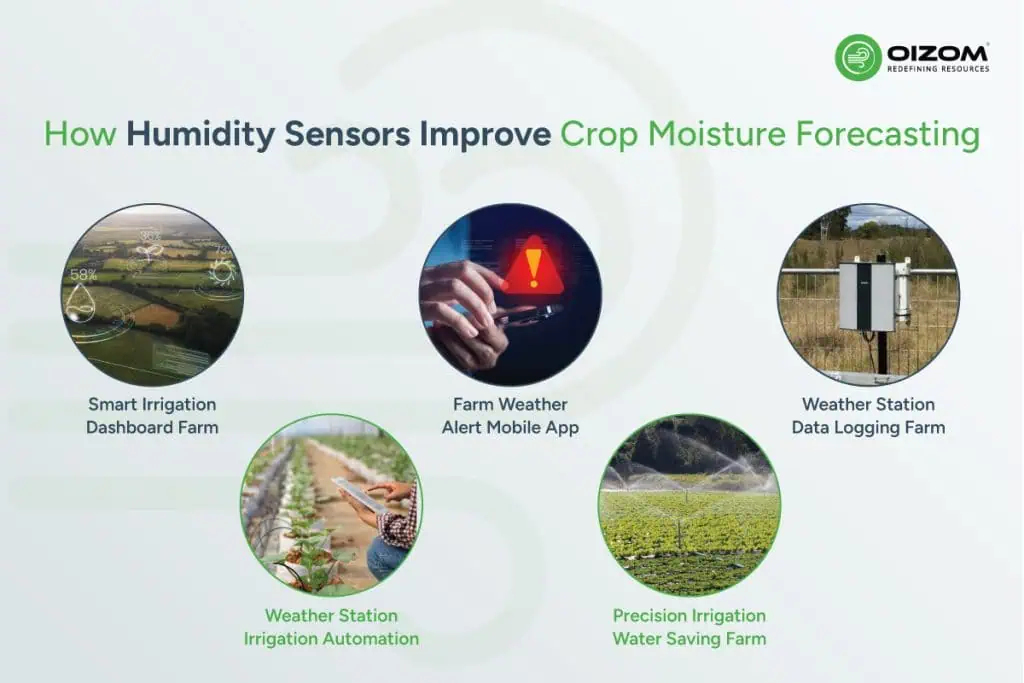 How Humidity Sensors Improve Crop Moisture Forecasting