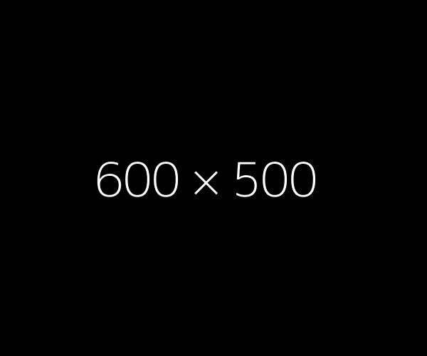 600x500