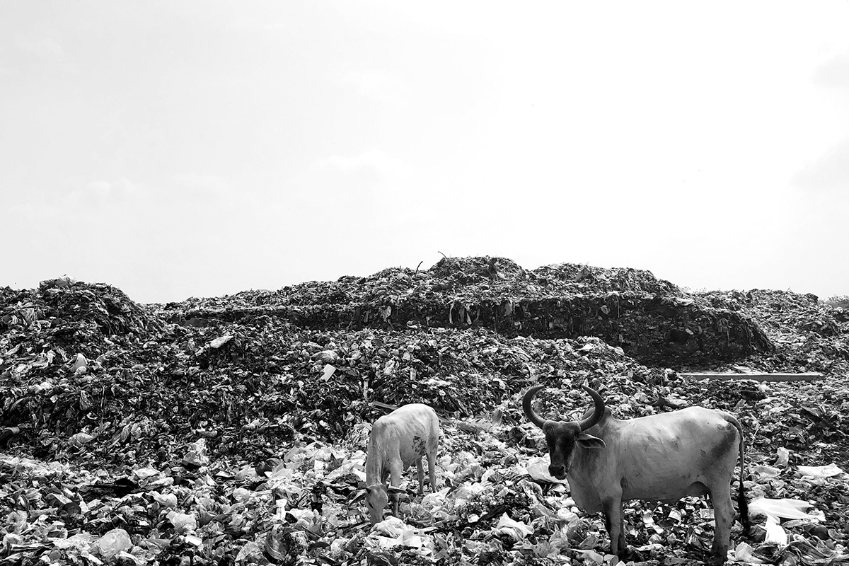 Solid-Waste-Problem-Dumpyard-Odor-Sensor Waste dumped in landfills and dumpyards degrade and produce harmful gases which can be controlled using an odor sensor.