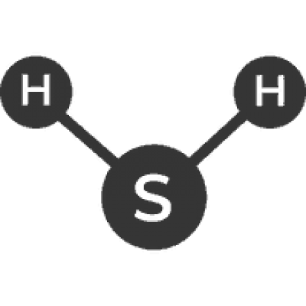 Waste-Water-Treatment-Target-Parameters-Hydrogen-Sulfide-Electronic-Nose Waste-Water-Treatment-Target-Parameters-Hydrogen-Sulfide-Electronic-Nose