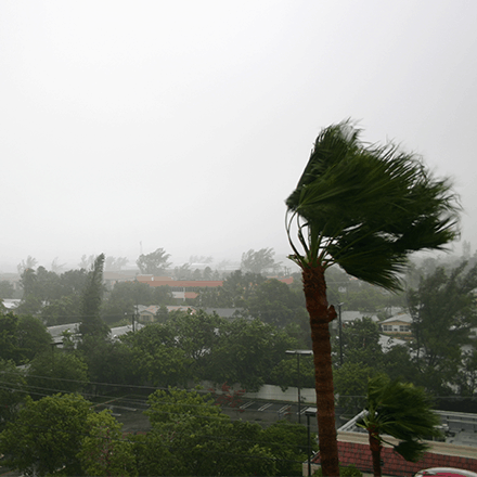 Oizom Automatic Weather Station provides real-time weather data to detect any oncoming natural disaster and reduce the loss.